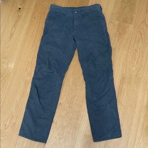 Patagonia Men's Blue Chinos
